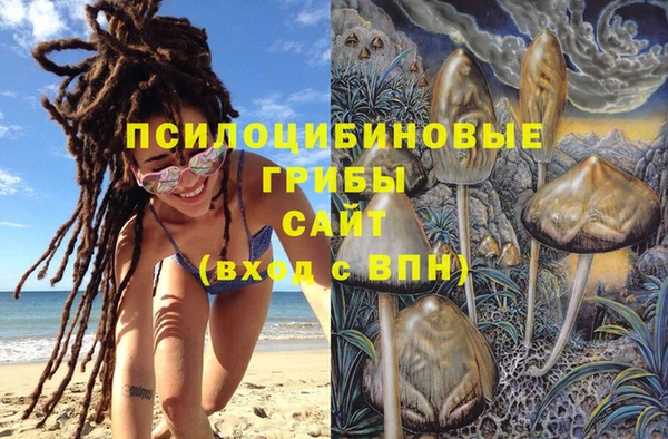 кокаин премиум Заводоуковск