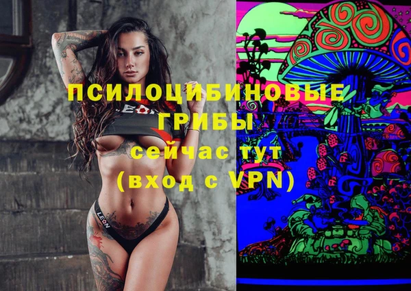 кокаин премиум Заводоуковск