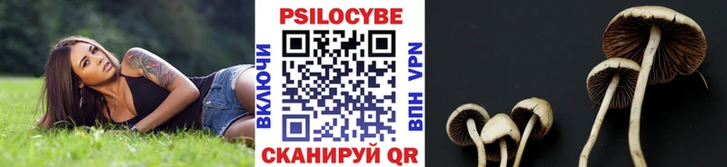 Псилоцибиновые грибы Magic Shrooms  Купить закладки  Истра 